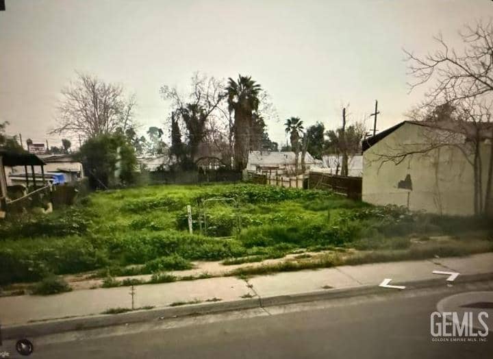 803 Irene Street — photo 3