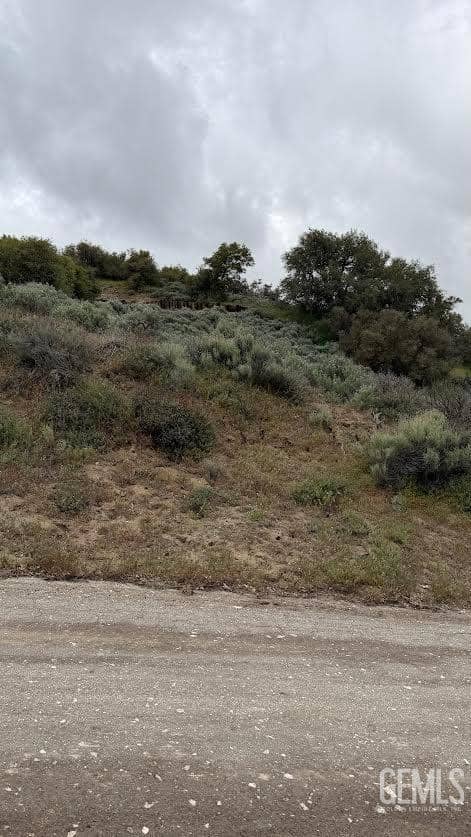 El Rancho Drive — photo 4