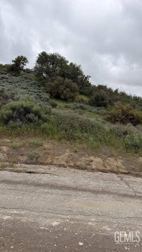 El Rancho Drive — photo 2